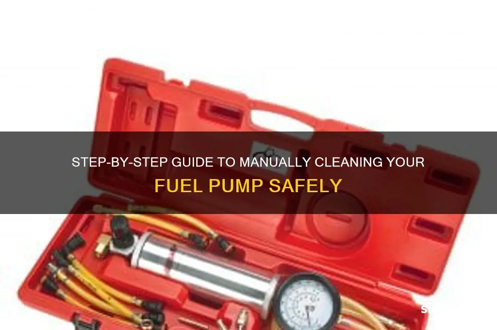how to manually clean a fuel pump