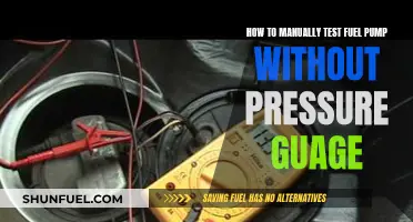 Testing Fuel Pumps: DIY Without a Pressure Gauge