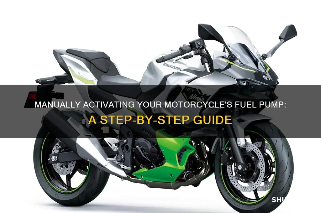 how to manually turn on fuel pump on motorcycle
