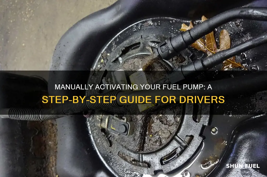 how to manually turn on fuel pump