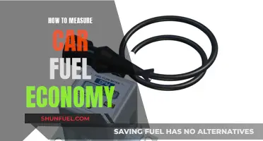 Maximizing Your Car's Fuel Efficiency: Measuring Economy