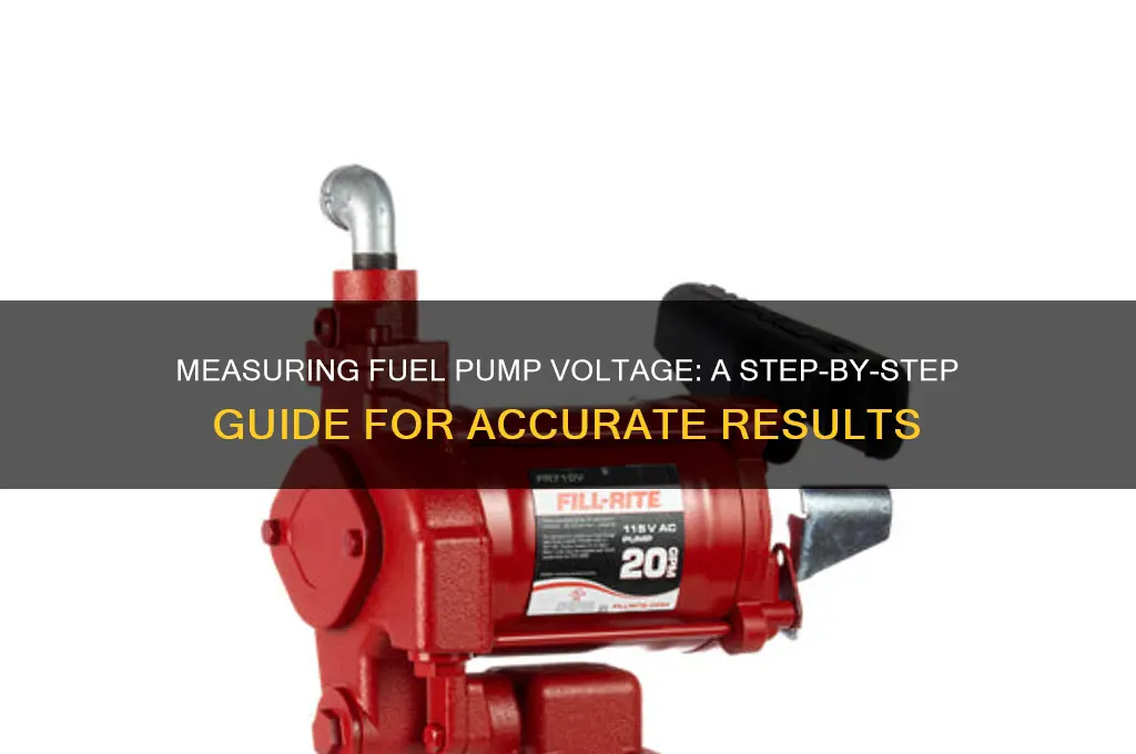 how to measure fuel pump voltage