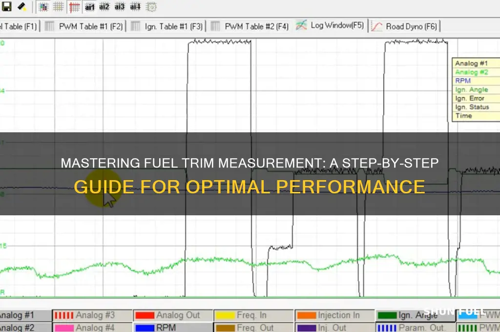 how to measure fuel trim
