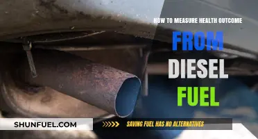 Measuring Health Impact: Diesel Fuel's Health Outcome
