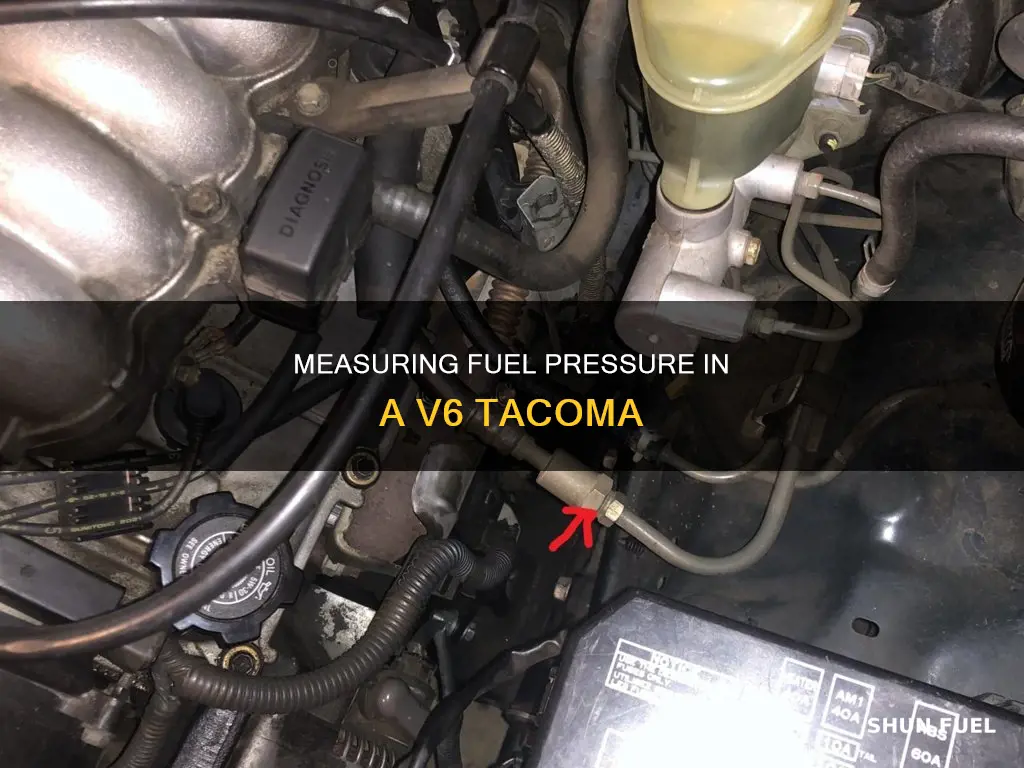 how to measure tacoma fuel pressure v6