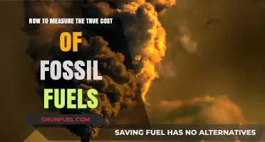 Unveiling Fossil Fuels' Hidden Costs: A Comprehensive Measurement Guide