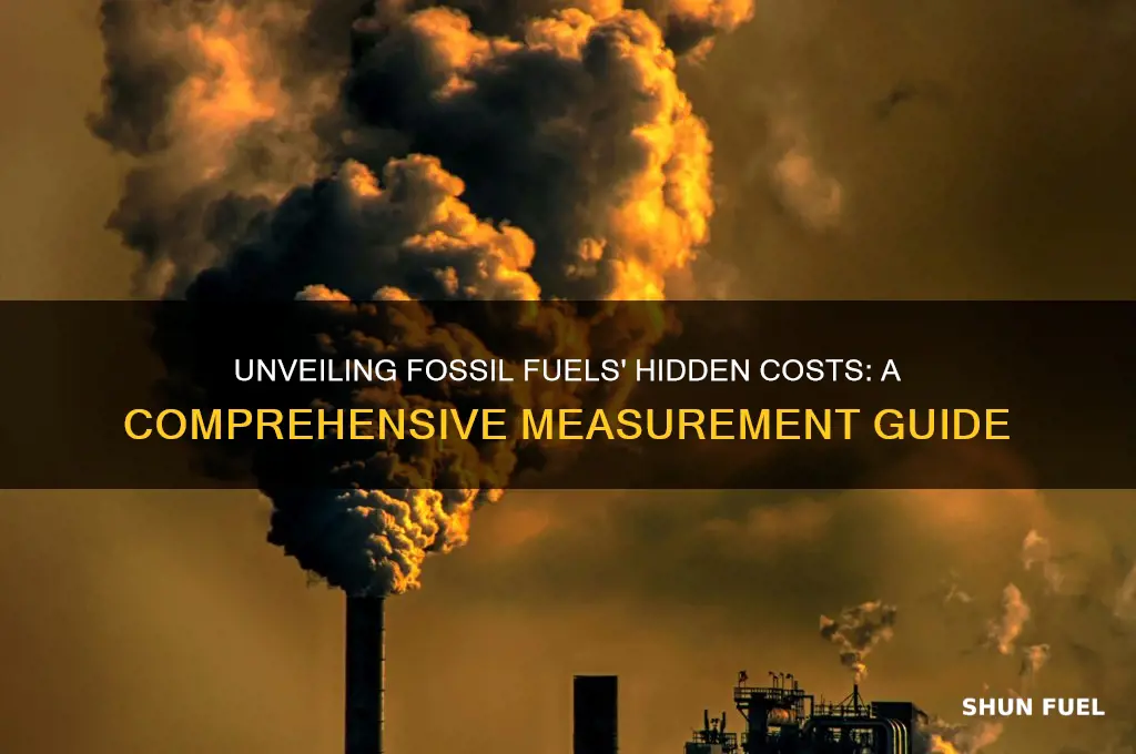 how to measure the true cost of fossil fuels