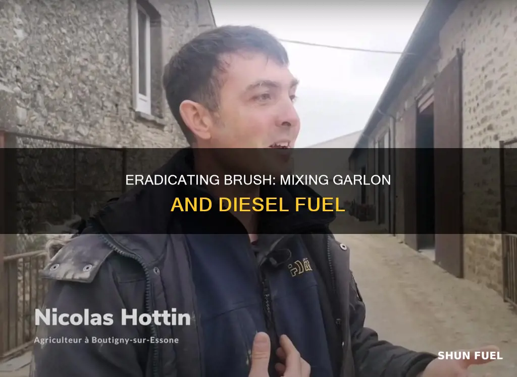 how to mix garlon with diesel fuel for killing brush