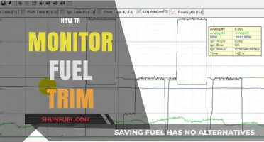 Mastering Fuel Trim Monitoring: Essential Tips for Optimal Engine Performance
