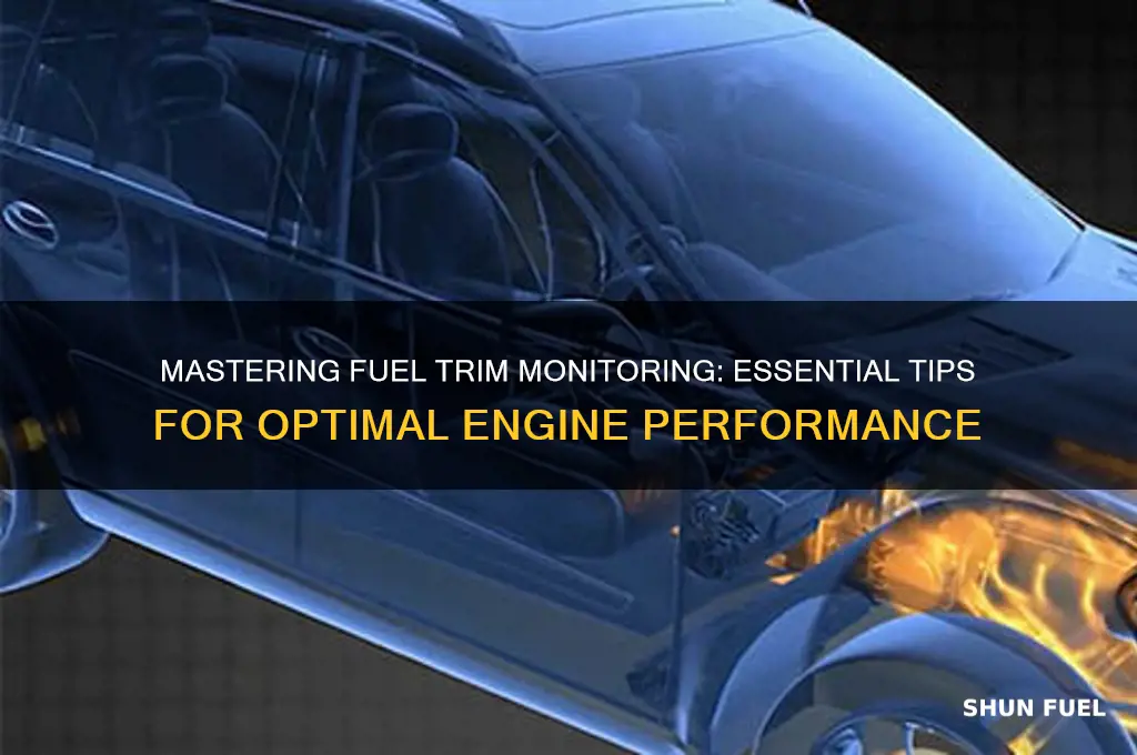how to monitor fuel trim