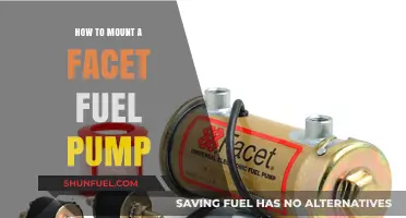 Step-by-Step Guide: Mounting a Facet Fuel Pump Easily and Safely
