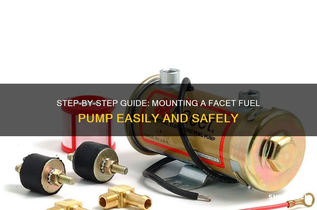 how to mount a facet fuel pump