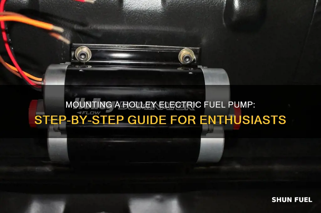 how to mount a holley electric fuel pump