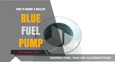 Step-by-Step Guide to Mounting a Holley Blue Fuel Pump