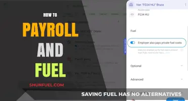 Master Payroll Management and Fuel Efficiency for Business Success
