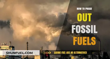 Accelerating the Transition: Strategies to Phase Out Fossil Fuels Sustainably