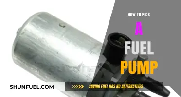Choosing the Right Fuel Pump: Essential Tips for Optimal Performance