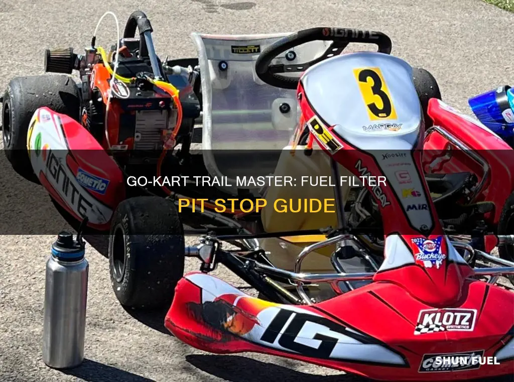 how to pit fuel filter on gocart trail mastet
