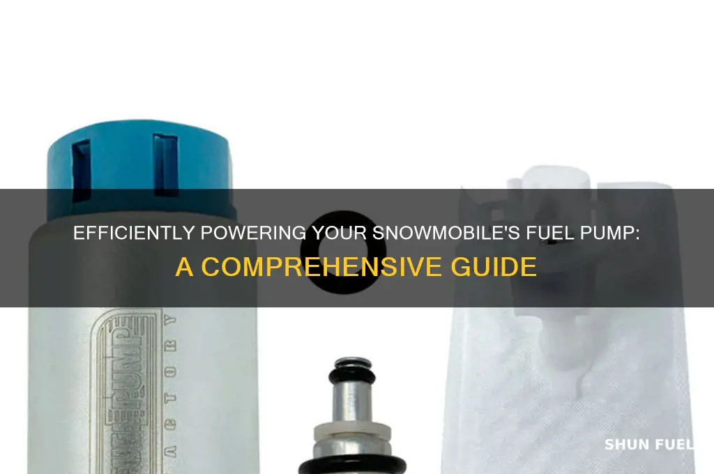 how to power a fuel pump on a snowmobile