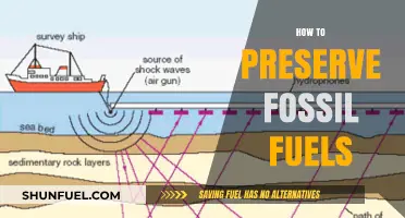 Preserving Fossil Fuels: The Ultimate Guide to Conservation