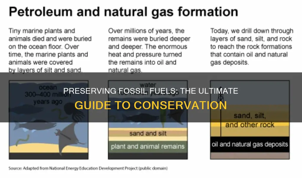 how to preserve fossil fuels