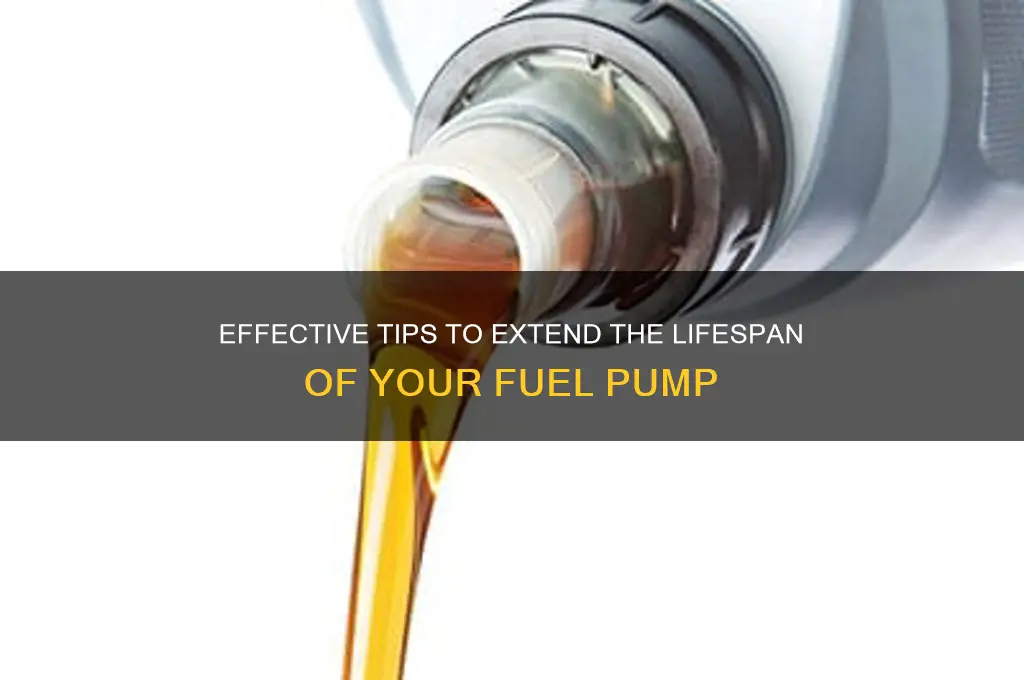 how to preserve fuel pump