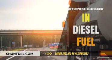 Preventing Algae Growth in Diesel Fuel