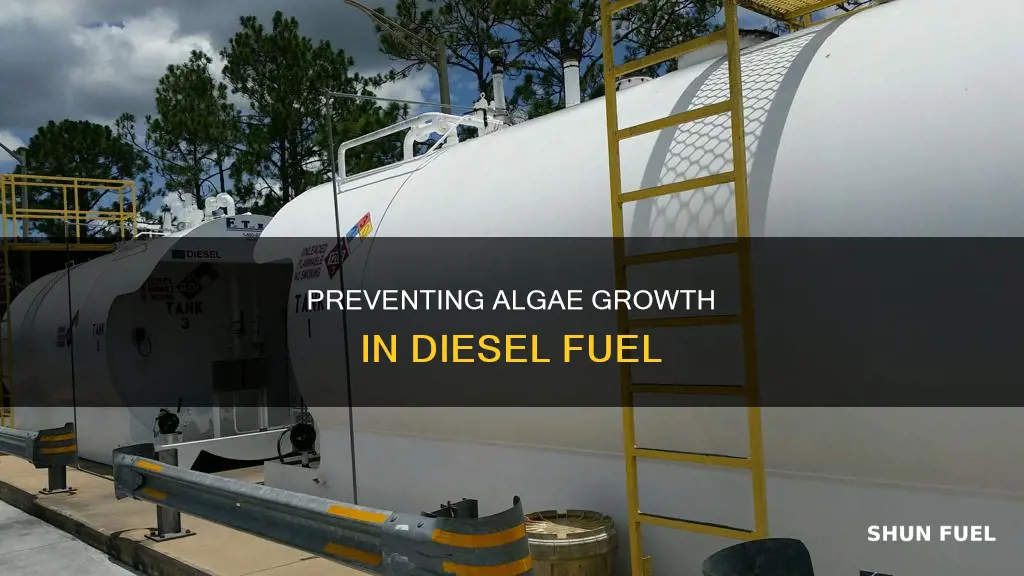how to prevent algae buildup in diesel fuel
