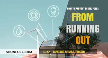 Sustainable Energy Solutions: Strategies to Preserve Fossil Fuels for Future Generations