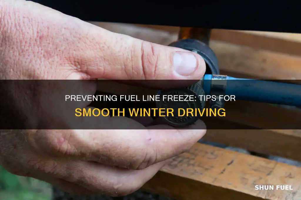 how to prevent fuel line freeze up