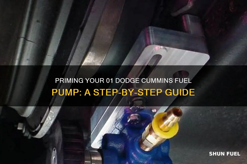 how to prime 01 dodge cummins fuel pump
