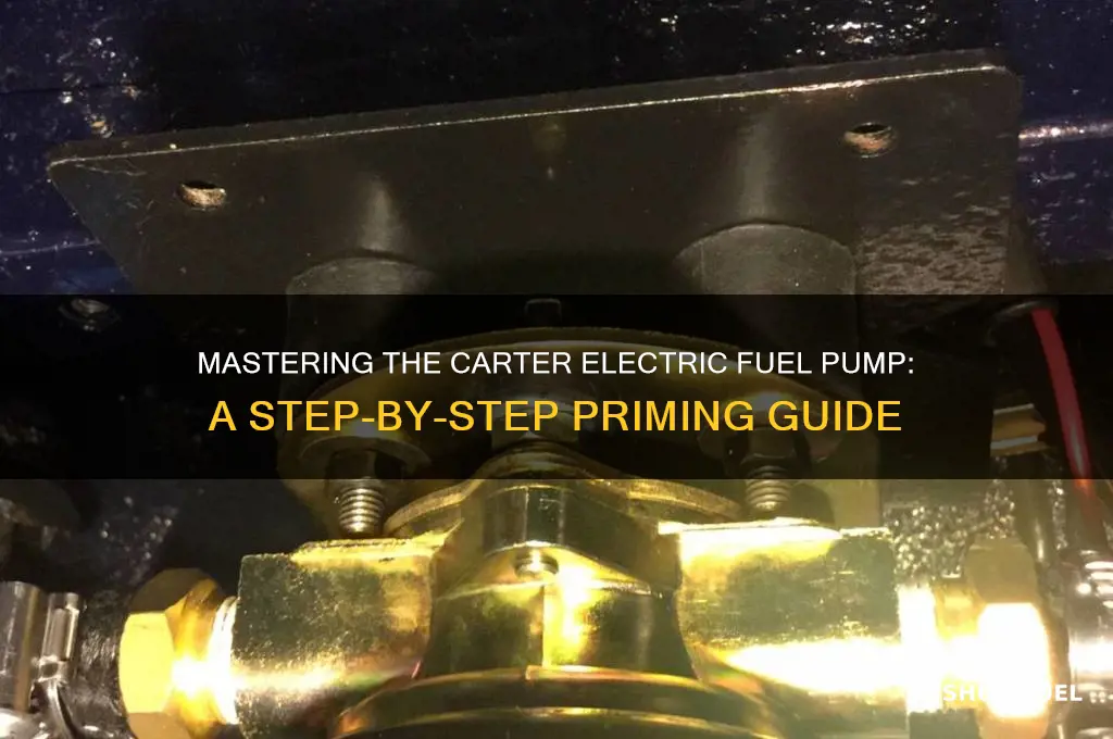how to prime a carter electric fuel pump
