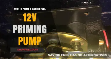 Efficiently Prime Your Carter Fuel 12V Pump: Step-by-Step Guide