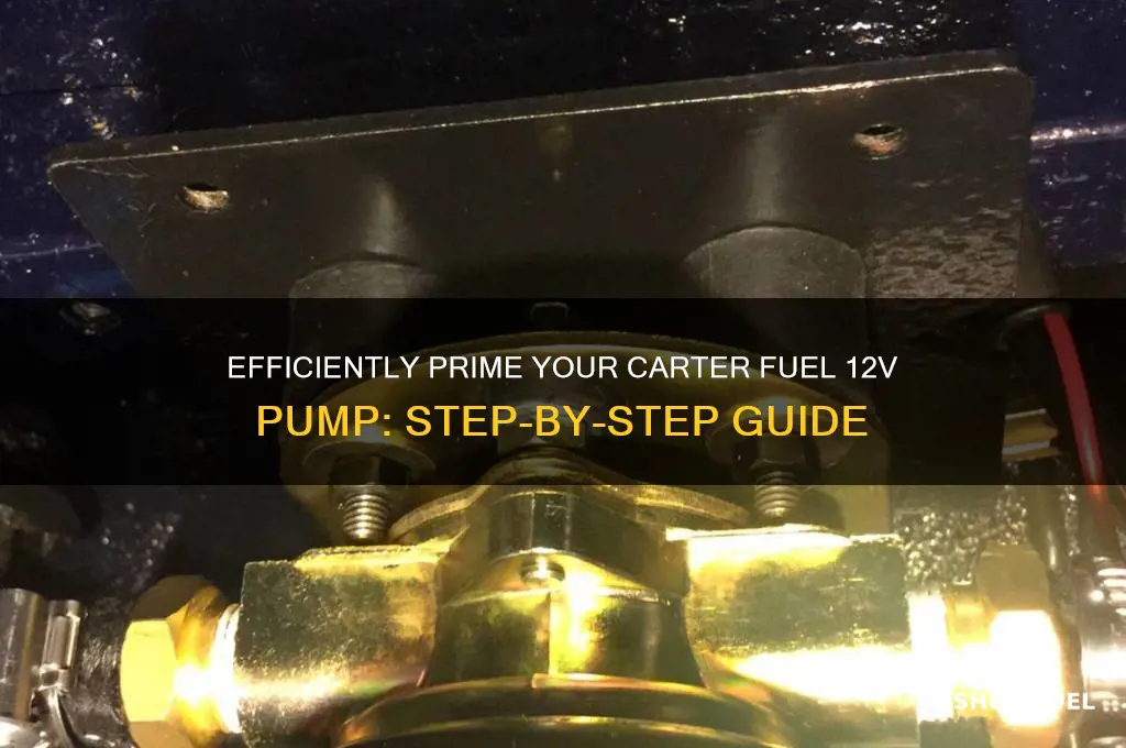 how to prime a carter fuel 12v priming pump