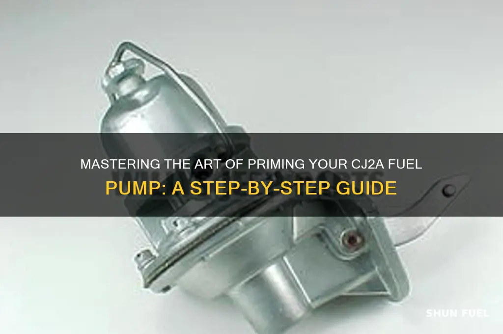 how to prime a cj2a fuel pump