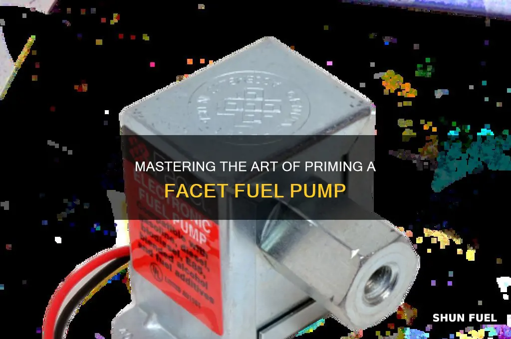 how to prime a facet fuel pump