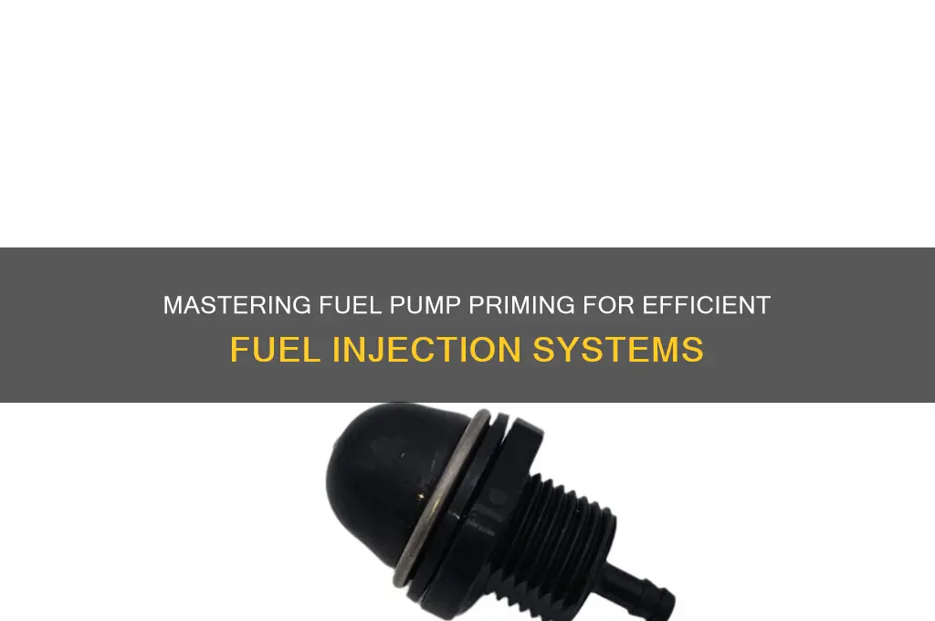 how to prime a fuel pump fuel injection