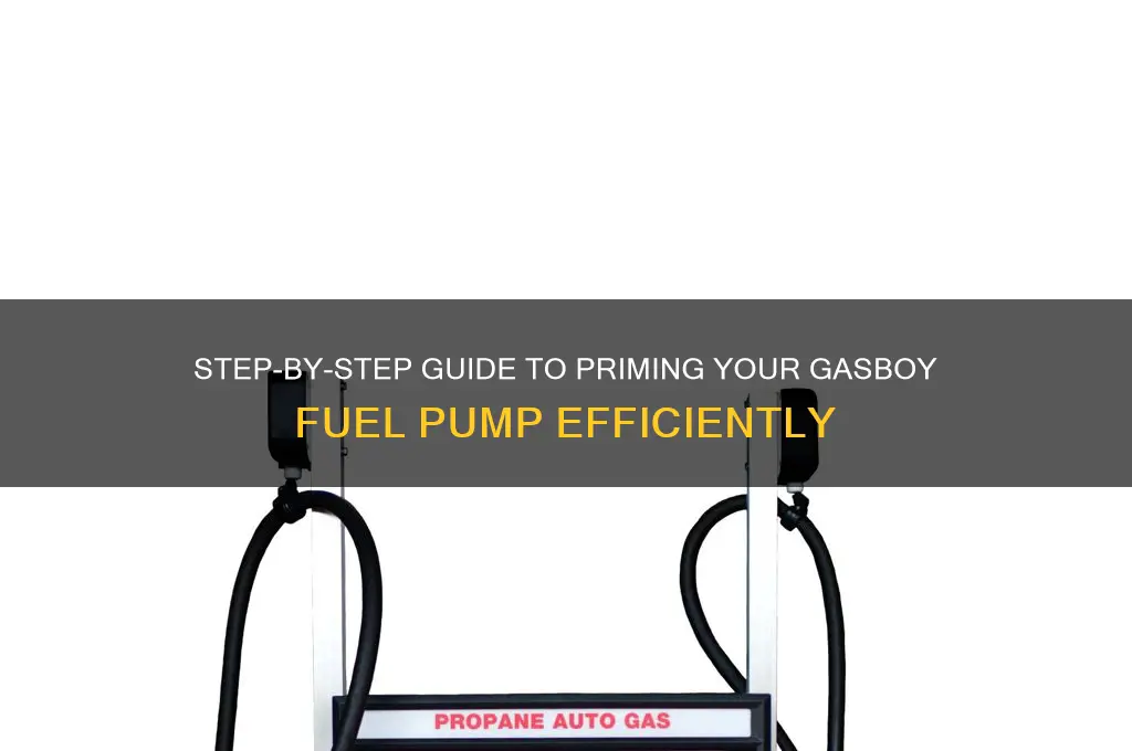 how to prime a gasboy fuel pump