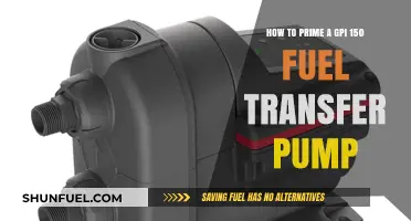 Mastering the GPI 150 Fuel Transfer Pump: A Step-by-Step Priming Guide