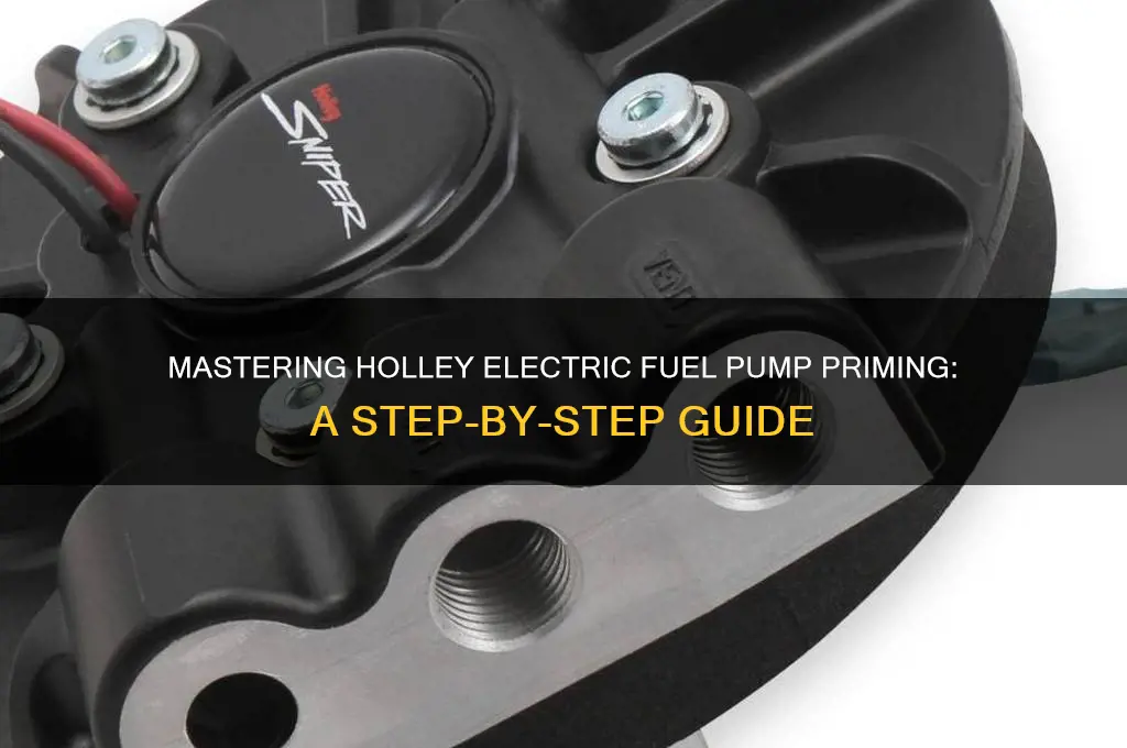 how to prime a holley electric fuel pump