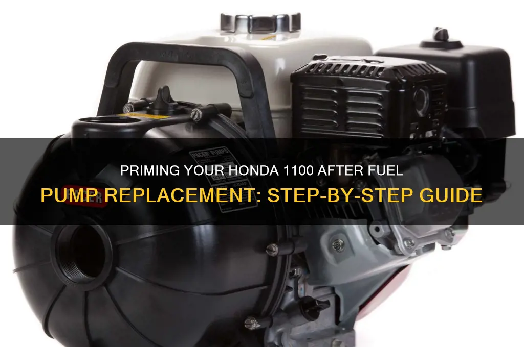 how to prime a honda 1100 afyer new fuel pump