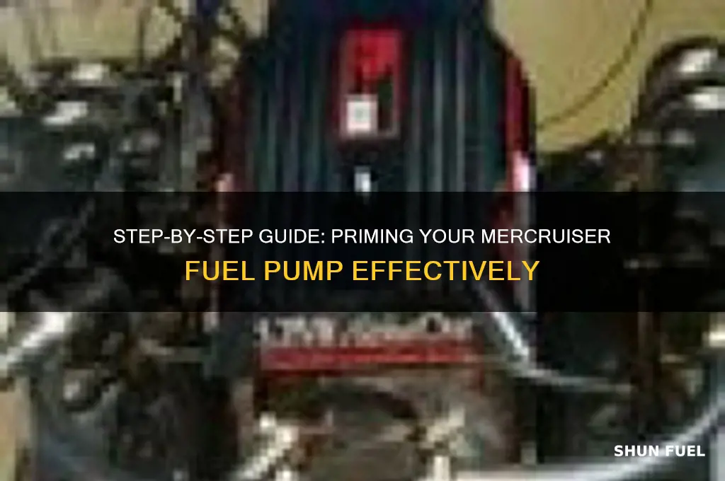 how to prime a mercruiser fuel pump