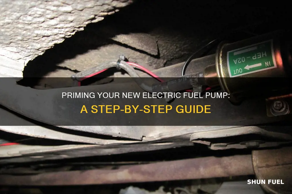 how to prime a new electric fuel pump