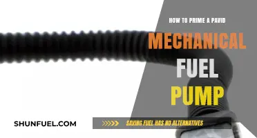 Mastering the Art of Priming a Pavid Mechanical Fuel Pump