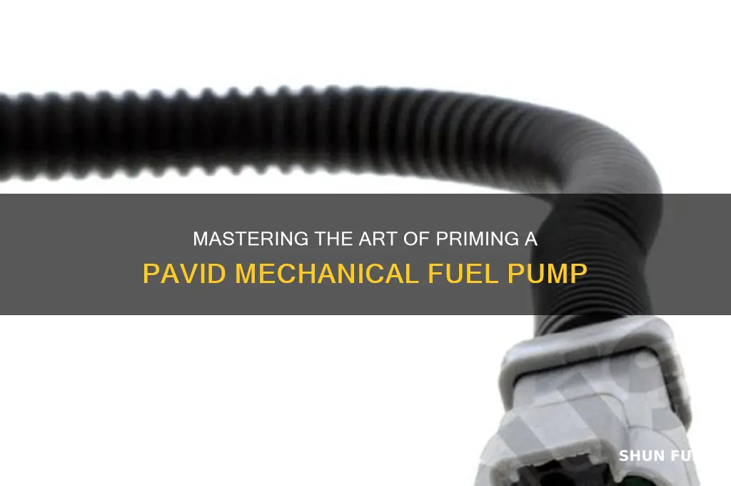 how to prime a pavid mechanical fuel pump