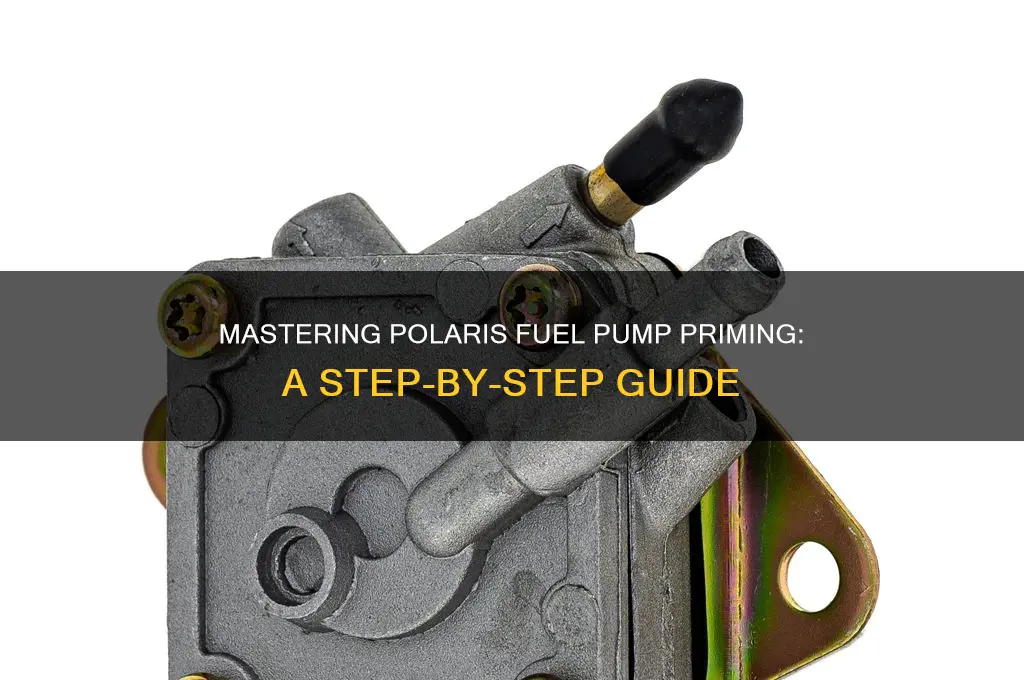 how to prime a polaris fuel pump