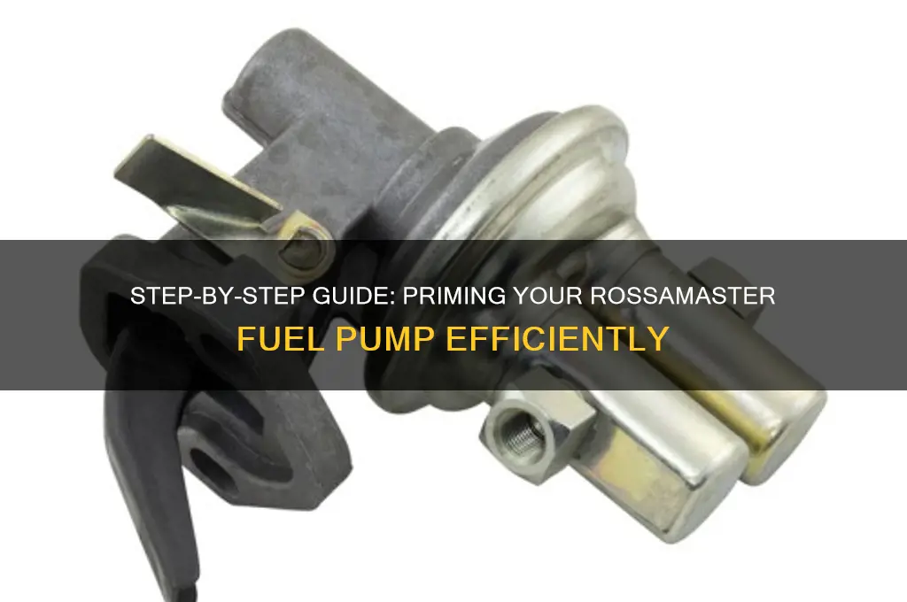 how to prime a rossamaster fuel pump