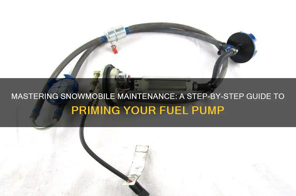 how to prime a snowmobile fuel pump