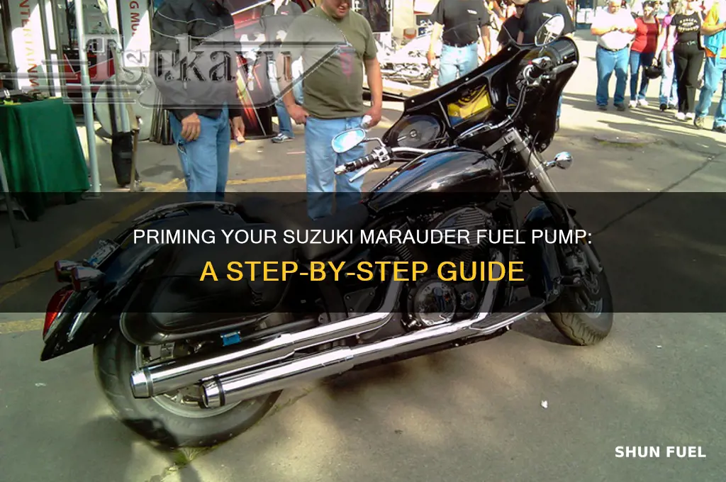 how to prime a suzuki marauder fuel pump