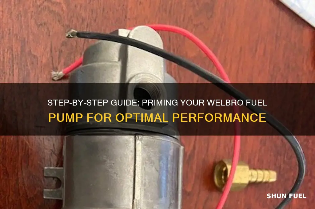 how to prime a welbro fuel pump